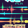 Mega PLR Music Tracks V2 ⭐OFERTA⭐ - Imagen 8